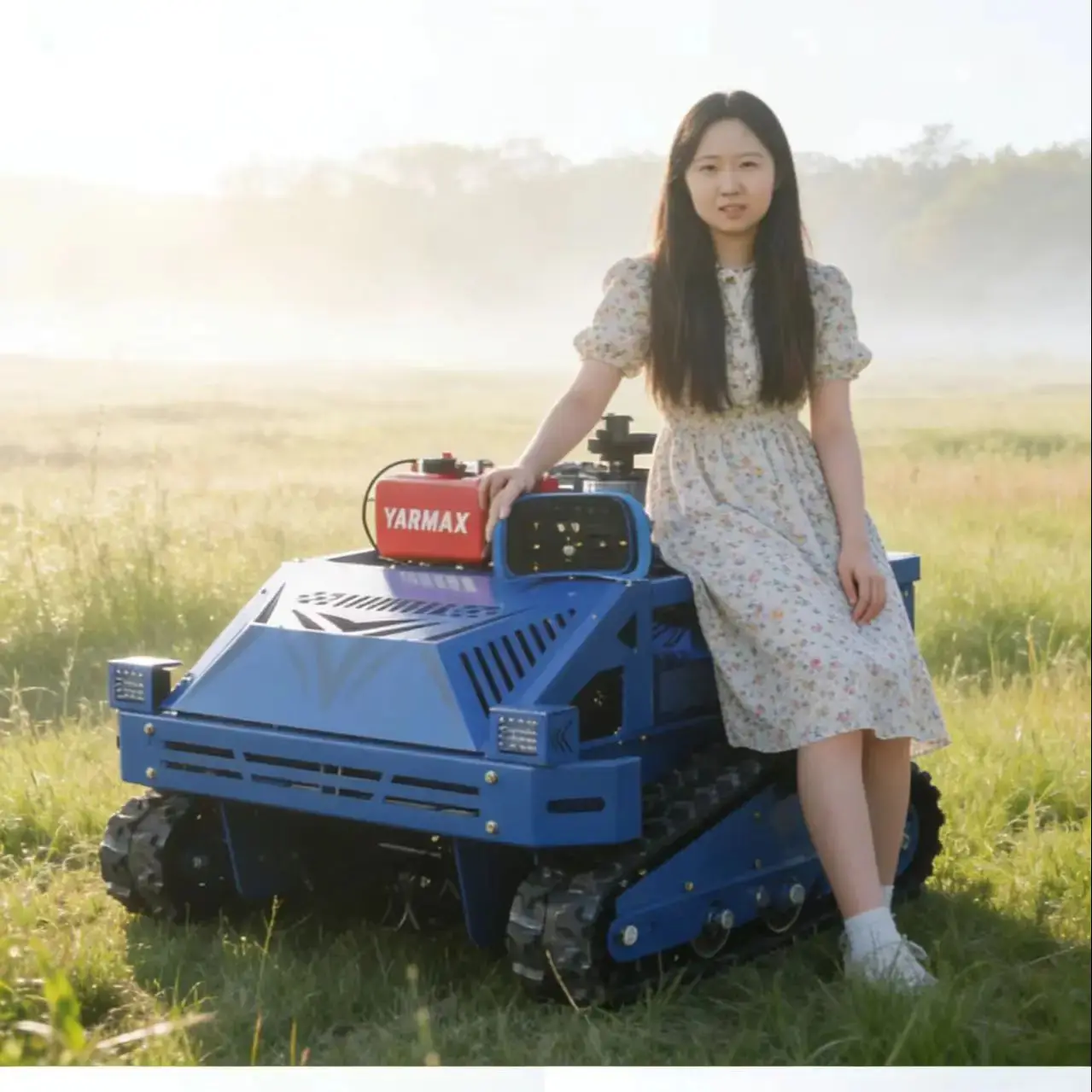 Customized Remote Smart Lawn Mower Anti-Collision Auto Weeding Home Planning for Villa