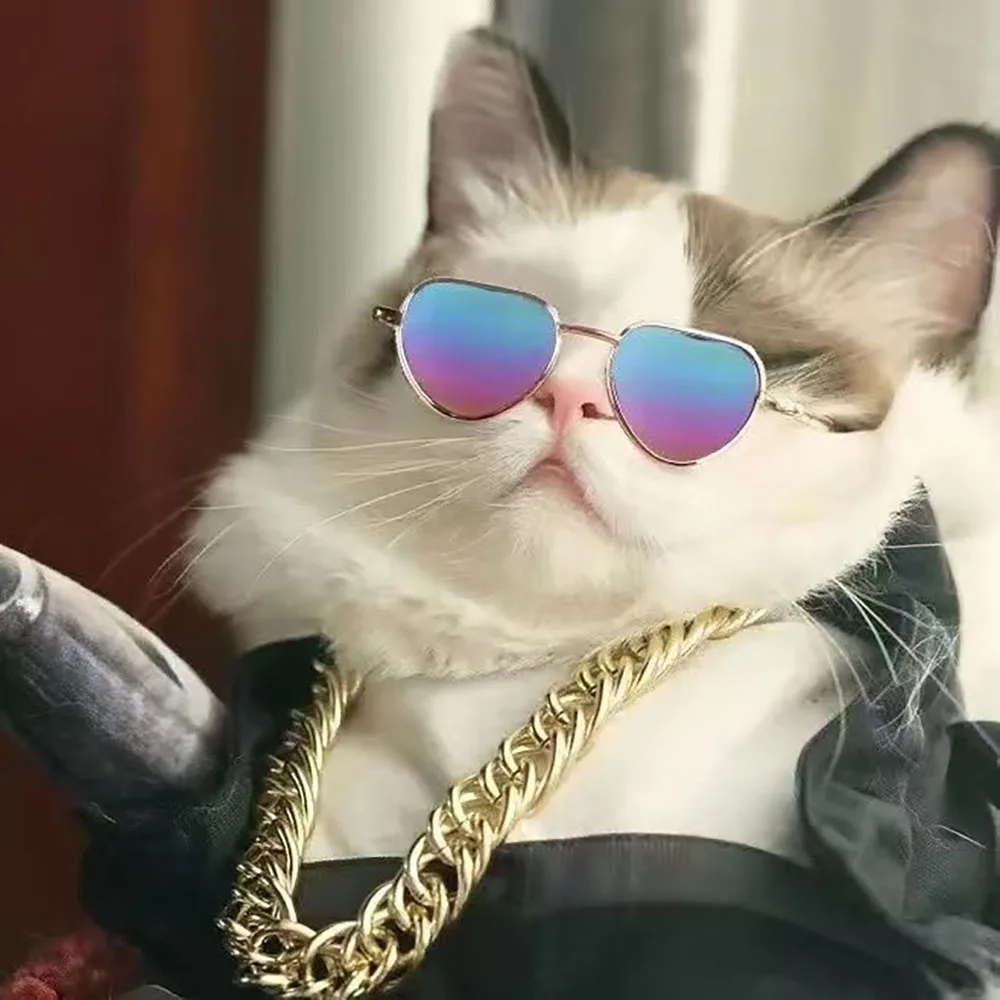 

Cool Pet Glasses Sunglasses Funny Photography Retro Props