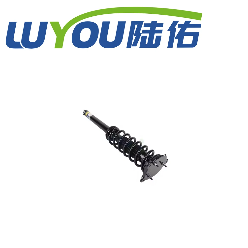 101562000E LUYOU Rear shock absorber two drives For Tesla Model MS 12-16