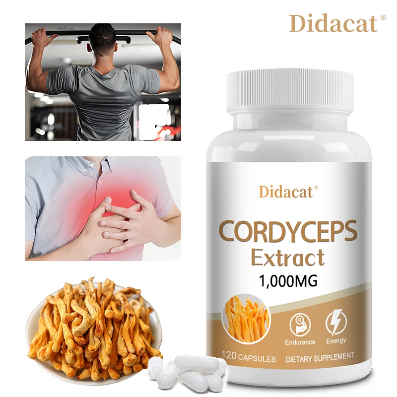 Cordyceps Sinensis Mushroom Extract - Vegetarian Capsules, Replenishing Natural Energy, Non Genetically Modified