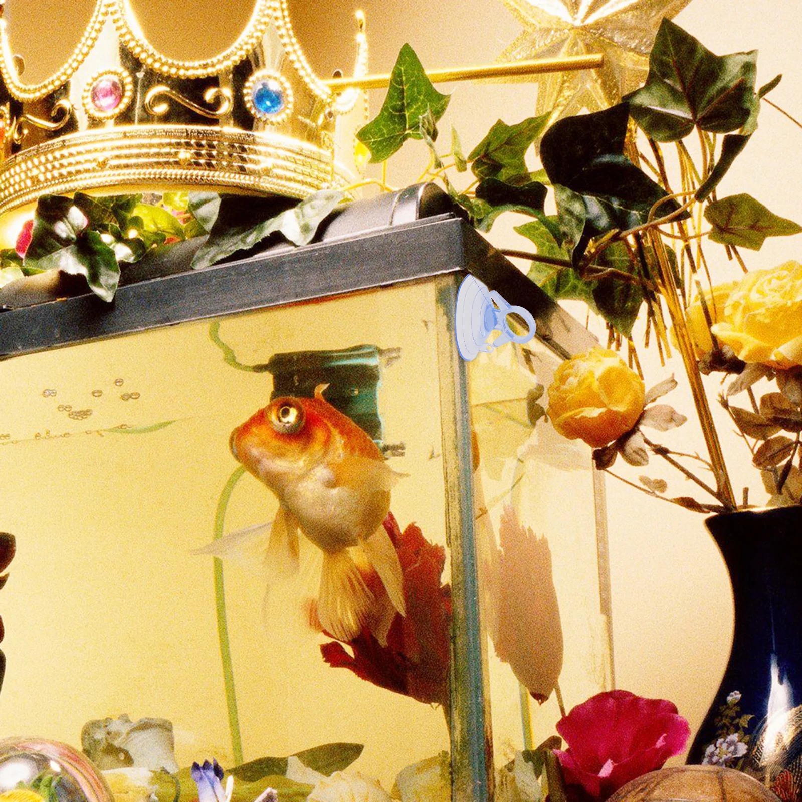 

12pcs 45Mm Pvc Suction Cup Strong Vacuum Glass Sucker For Fish Tank Aquarium Reptiles Box Durable Pull Ring Multi-Purpose