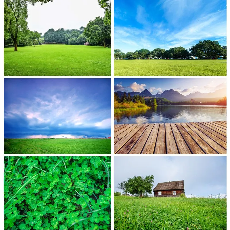 Natural Scenery Photography Background Green grass Forest Flower Landscape Travel Photo Backdrops Studio Props 21128 CTCD-04