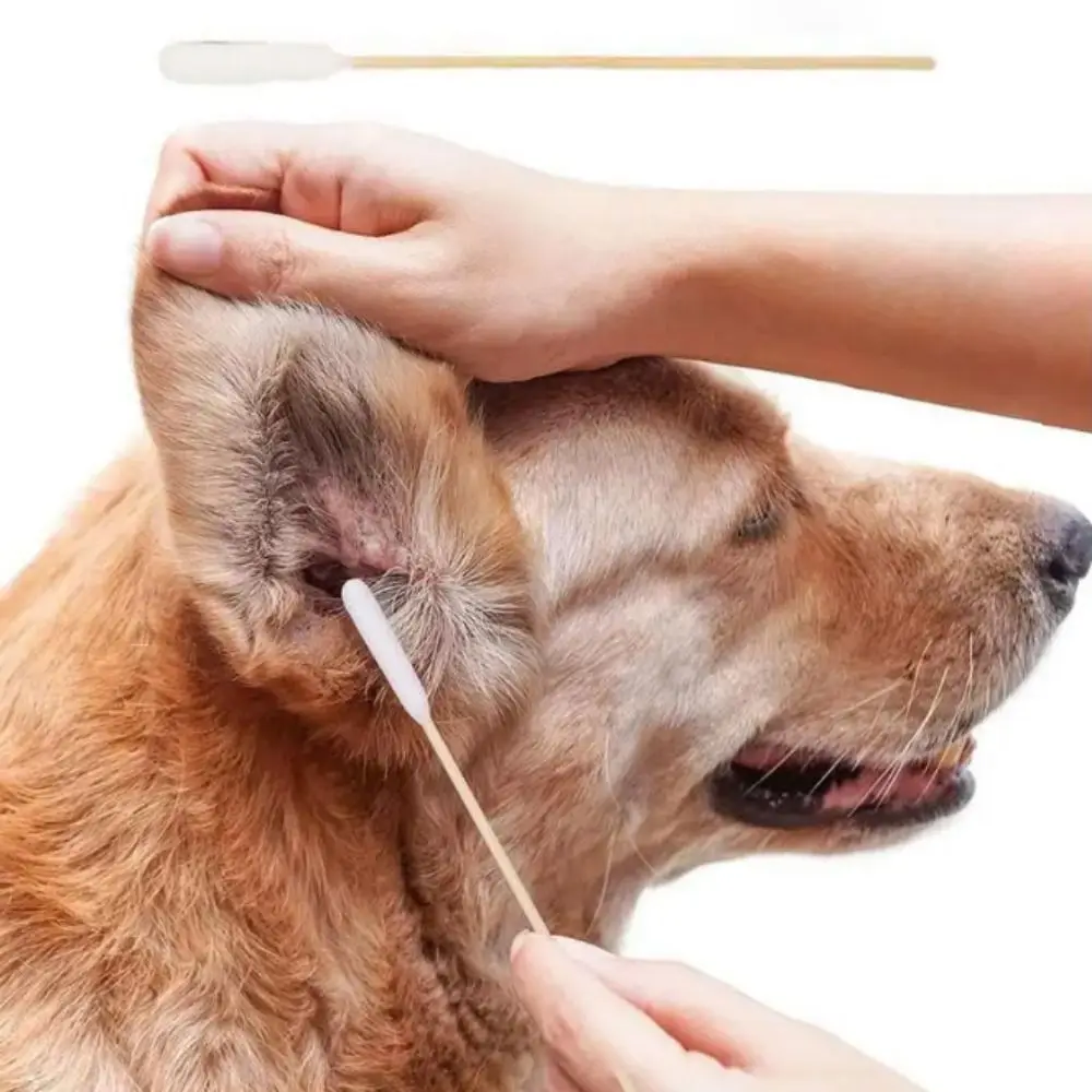 Ватные палочки для собак, 50 шт., ватные тампоны для чистки ушей домашних животных, длинные многофункциональные палочки с деревянной ручкой для кошек, собак, удаление воска для ушей Ватные палочки для собак, 50 шт., ватные тампоны для чистки ушей домашних животных, длинные многофункциональные палочки с деревянной ручкой для кошек, собак, удаление воска для ушей