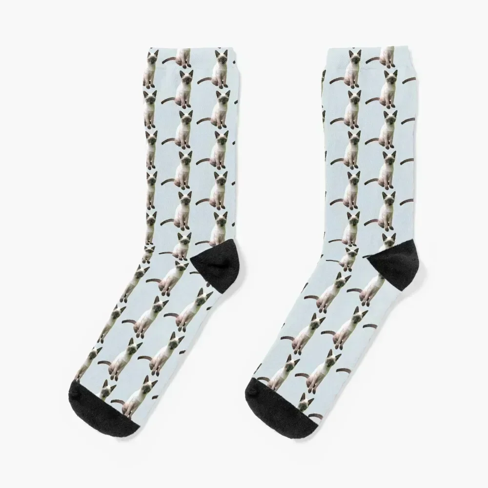 

Siamese Kitten Socks cartoon designer brand cool man Socks Man Women's