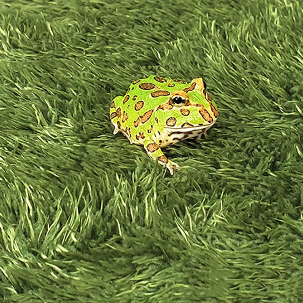 

3 pcs Reptile Fake Lawn 30x20cm Moss Carpet Terrarium Cushion Leopard Tank Decor for Amphibians Land Turtles Lizards