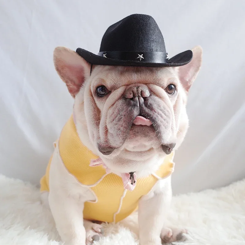 Pat Cowboy Hat Pet Headgear Western Cowboy Hat Photo Dog Small Helmet Grass Woven Cowboy Pet Hat