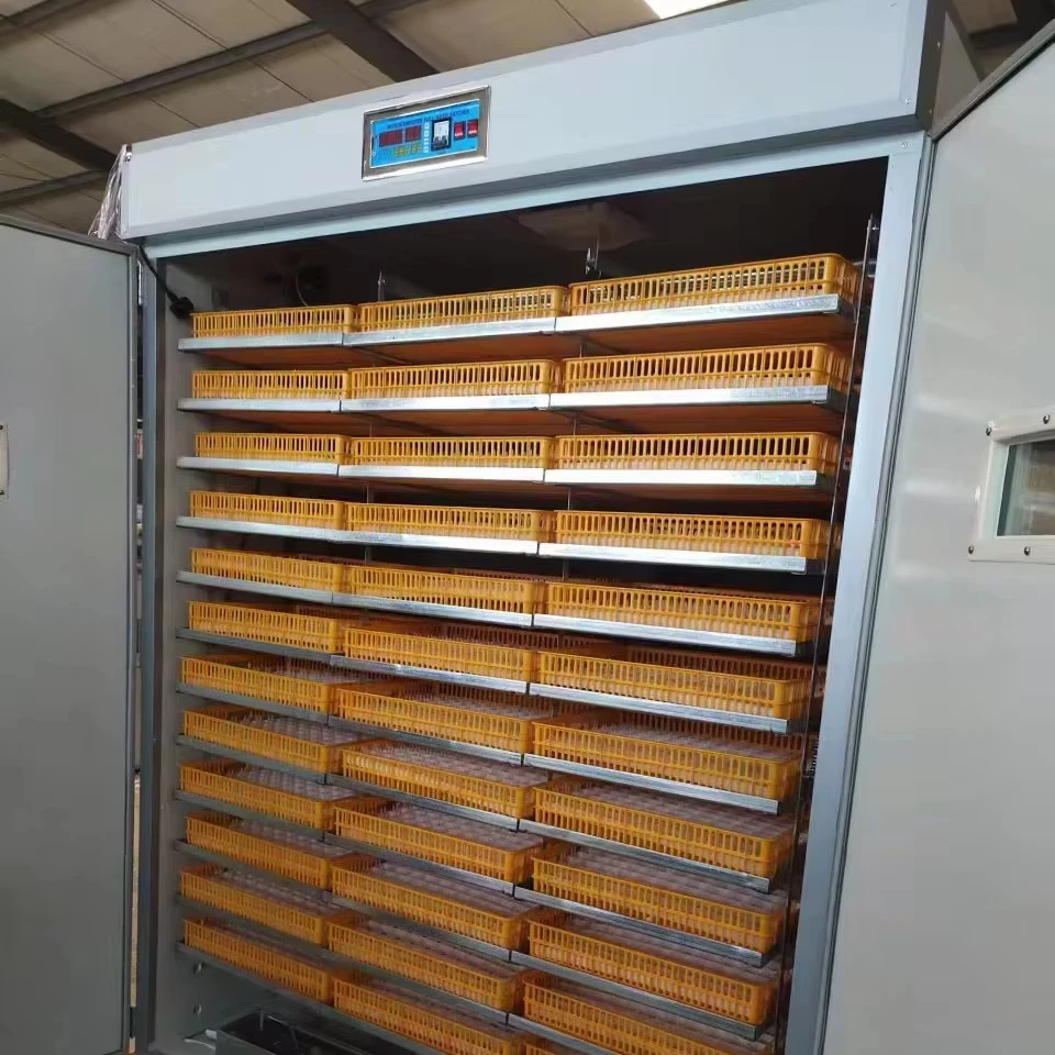 

Hot Sale 6000 Eggs Capacity Automatic Industrial Egg Incubator Bangladesh