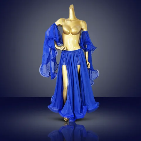 Belly Dance Costume For Womens Chiffon Arm Band Arm Sleeves+Skirt Dancing Costume Dress and Armbands Performance Accessories