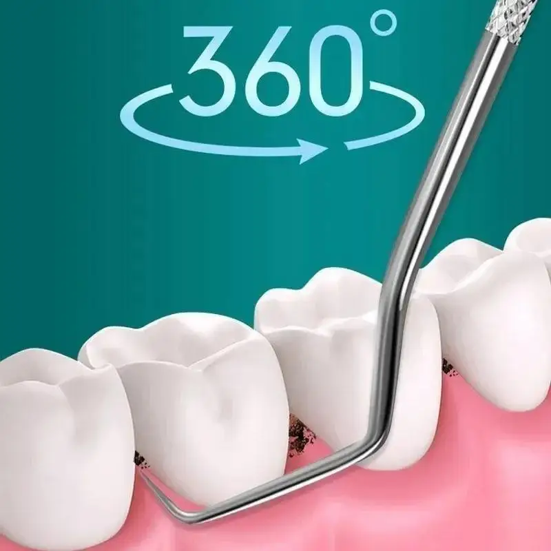 Z. Stainless Steel Toothpick Set Tooth Flossing Reusable Toothpicks Portable Toothpick Floss Teeth Cleaner Oral Cleaning