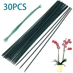 30Pcs Bamboo Green Sticks Plant Support Flower Stick Orchid Rod Plant Sticks for Supporting Climbing Vine Plant Dropshipping Hot