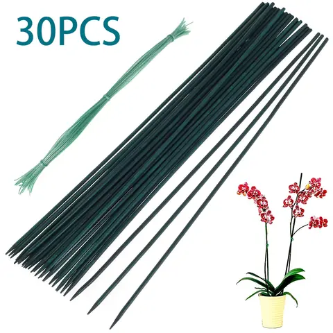 30Pcs 대나무 녹색 스틱 식물 지원 꽃 스틱 난초 막대 식물 스틱 등반 포도 나무 식물 Dropshipping 뜨거운 지원