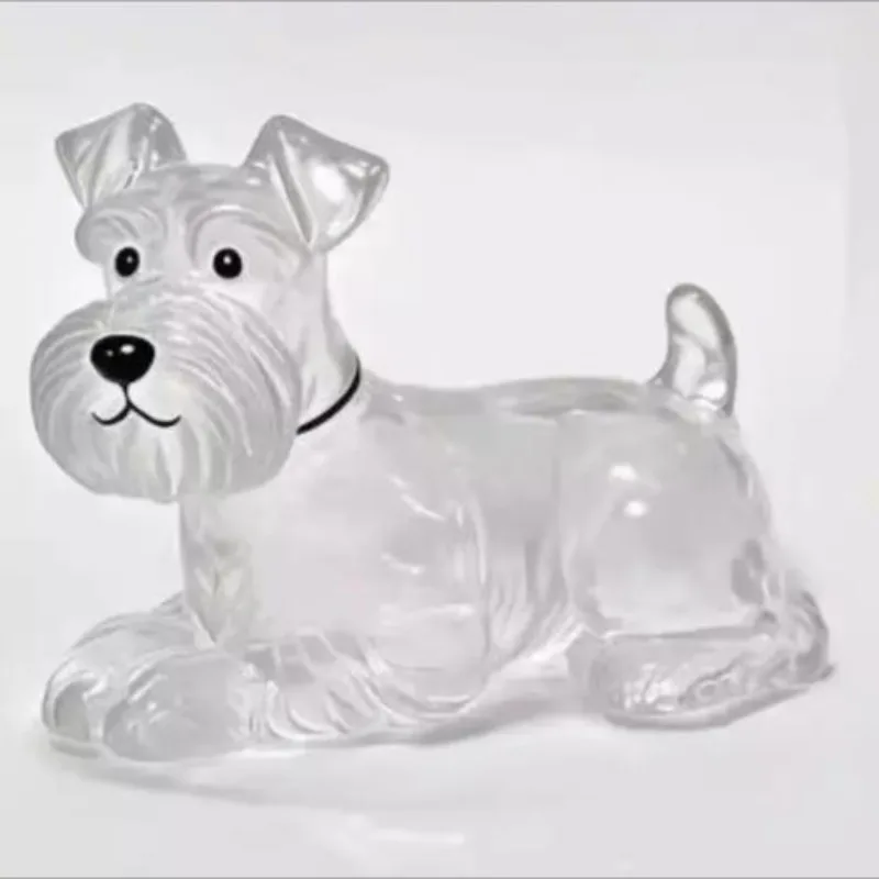 Conteneur Transparent de stockage de poils de chien, Adorable pendentif de Capsule de souvenir d'animal de compagnie avec porte-clés pour les amoureux des animaux de compagnie, porte-clés commémoratif DIY