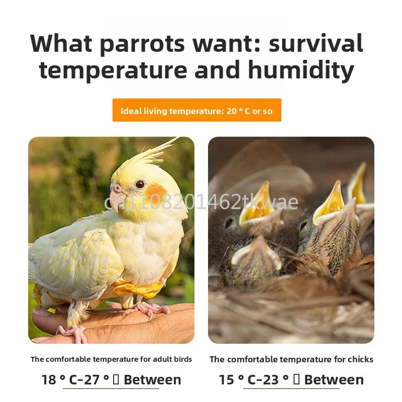 Thermometer Hygrometer Reptile Pet Incubation Breeding Turtle Gecko Hermit Crab Electronic Thermometer High Precision Parrot