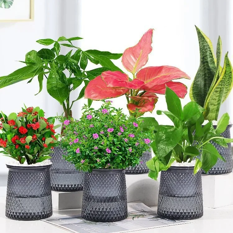 Self Watering Plastic Plant PotsTransparent Plastic Flower Vase Automatic Lazy Potted Flower Pot Hydroponic Flowerpot Decor