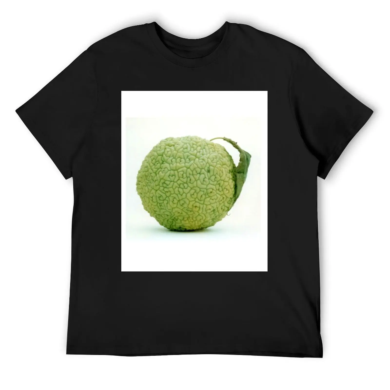 

Hedge Apple Hedgeapple Osage Orange T-Shirt basketball graphic tees anime tshirt oversized mens clothes