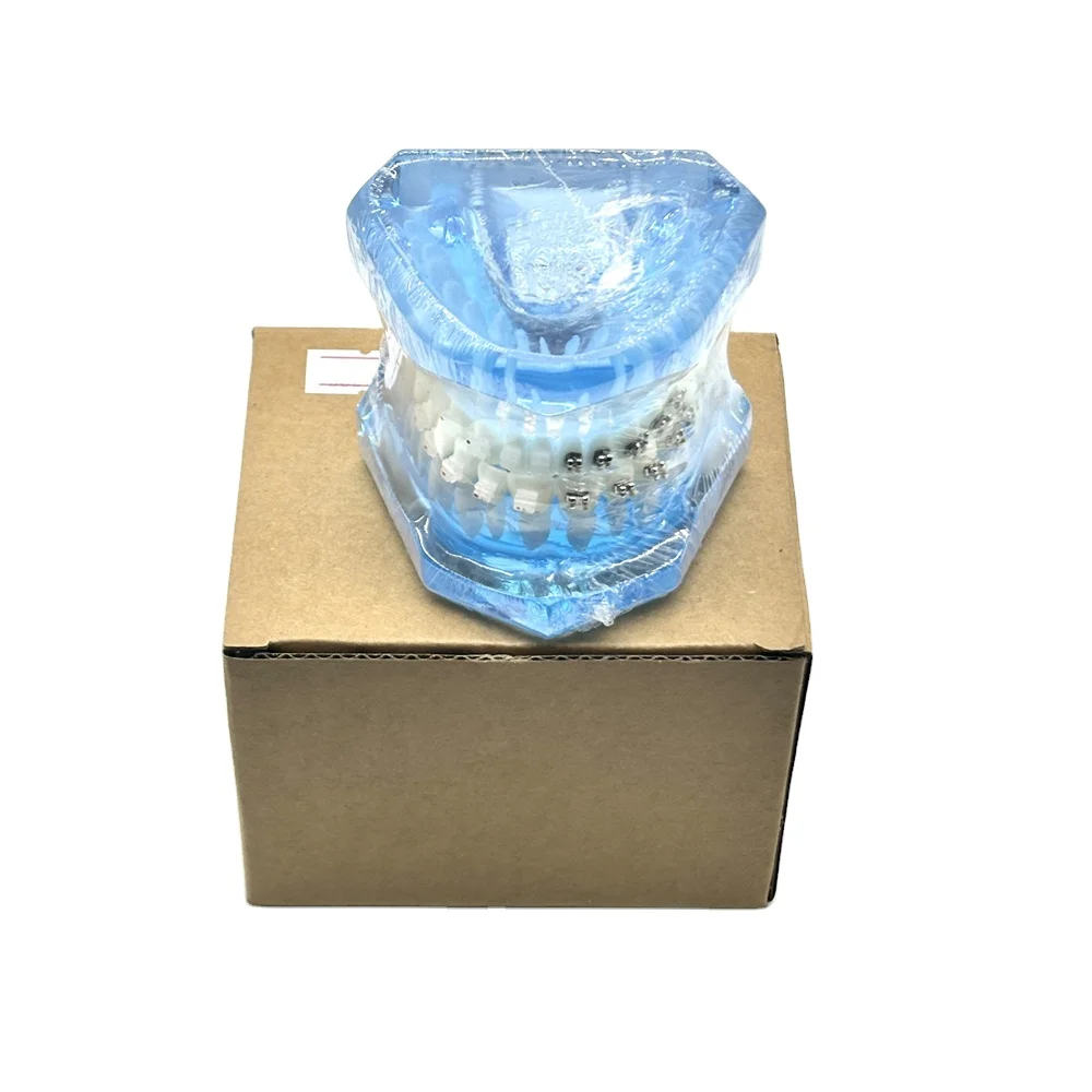 Рисунок 6 - Модель зубных протезов Полуметаллический