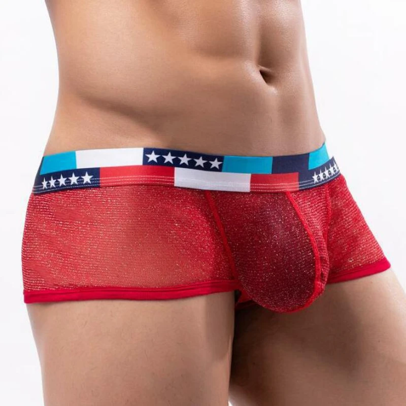 Men 2023 New Mesh Soft Feeling Large Cock Pouch Boxer Underwear Low Waist Lingerie Panties