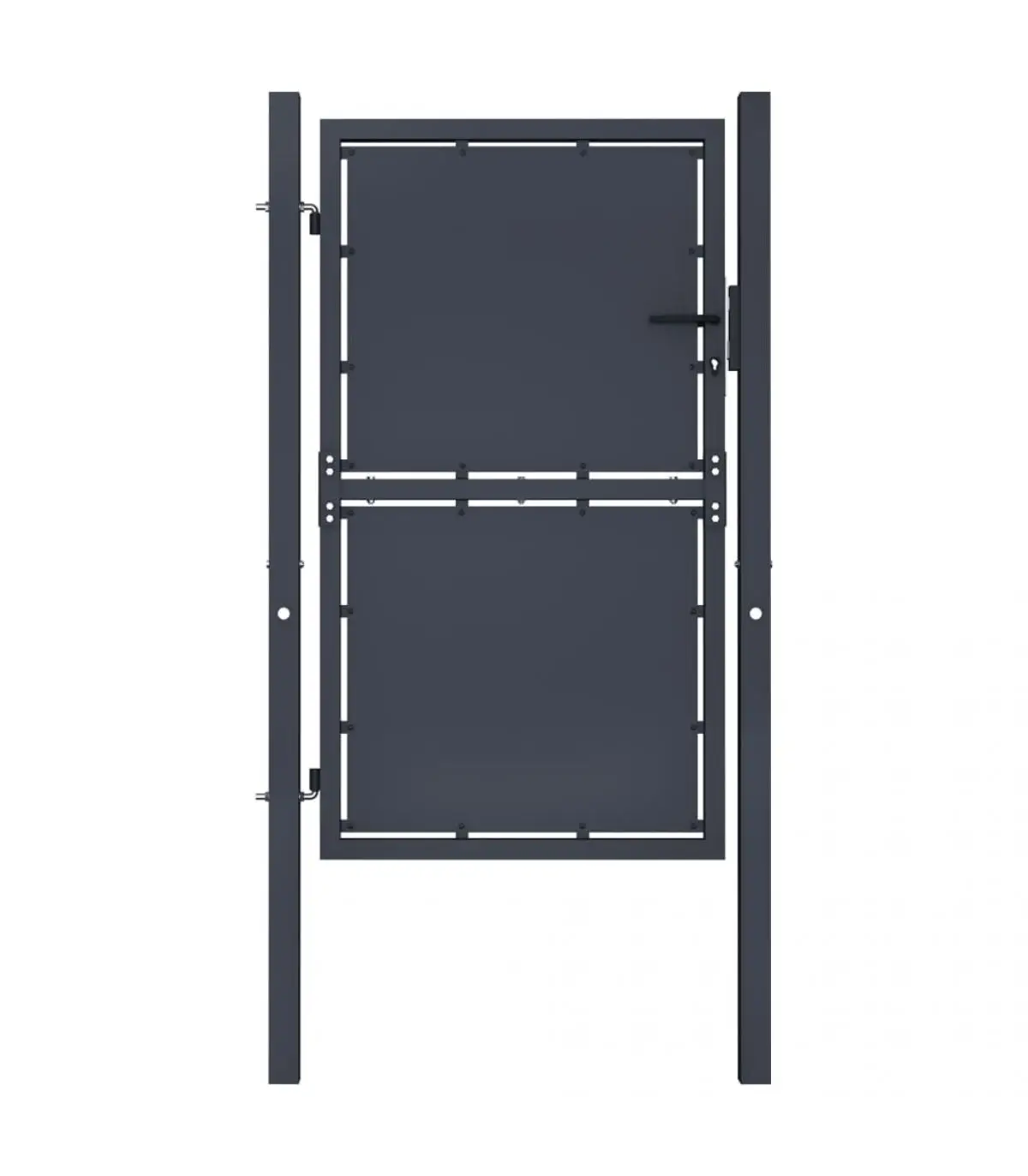 Garden doors garden door steel anthracite gray 100x175 cm