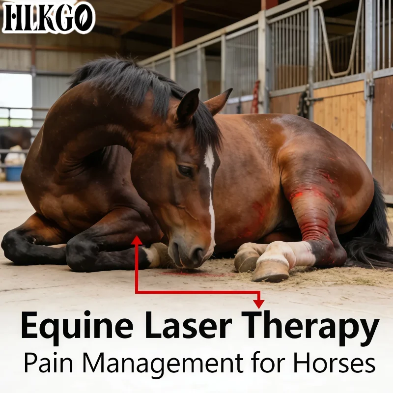 

Клинический портативный холодный лазер 5 Вт, класс 4, 650 нм 808 нм, красный свет, для ветеринарной терапии при болях в спине у собак и невропатии