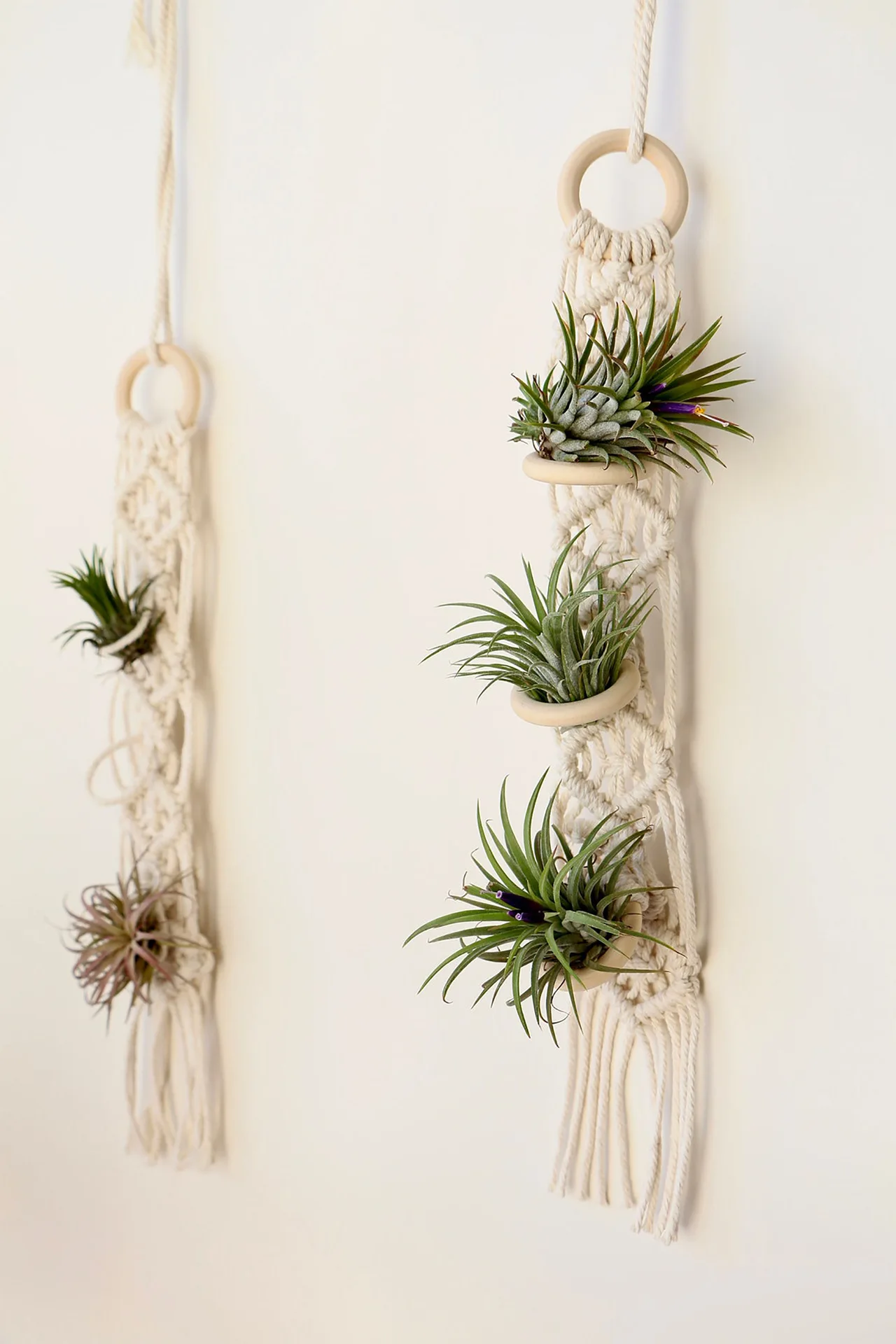 Colgador de macramé para plantas de aire, soporte colgante de piña de aire, de pared macetero, cesta de flores Boho hecha a mano, exhibición de