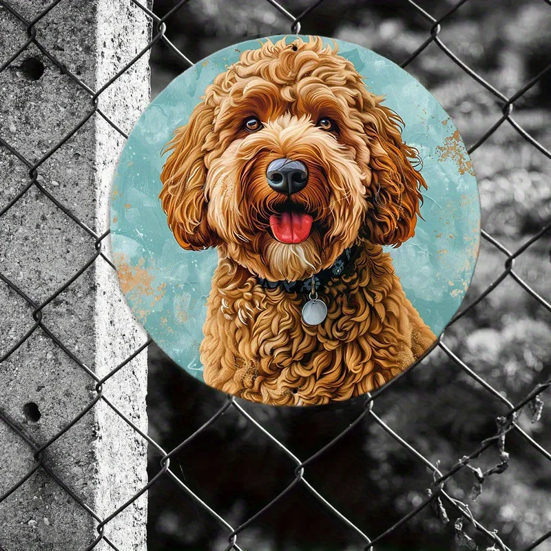 Letrero de pared de metal 2D plano, 1 pieza, con diseño de perro Goldendoodle - 8"x8" (20x20cm), diseño de caniche tipo Golden Retriever de hierro con borde turquesa.