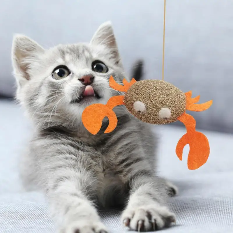 Catnip Cat Toys Cartoons Edible Catnip Ball Safety Healthy Cat Mint Cats Molar Teeth Clean Teeth Game Pet Toy Catnip Filled