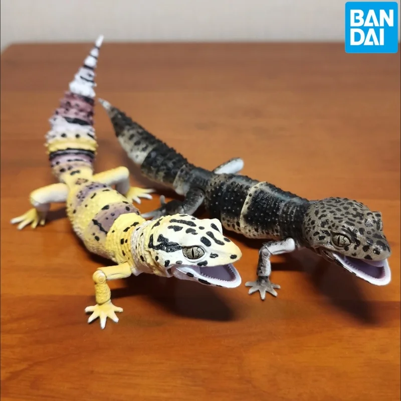 New Original Bandai Gashapon Big Biological Map Big Gecko Lizard Simulation Animal Qversion Anime Model Toy Gift Collection