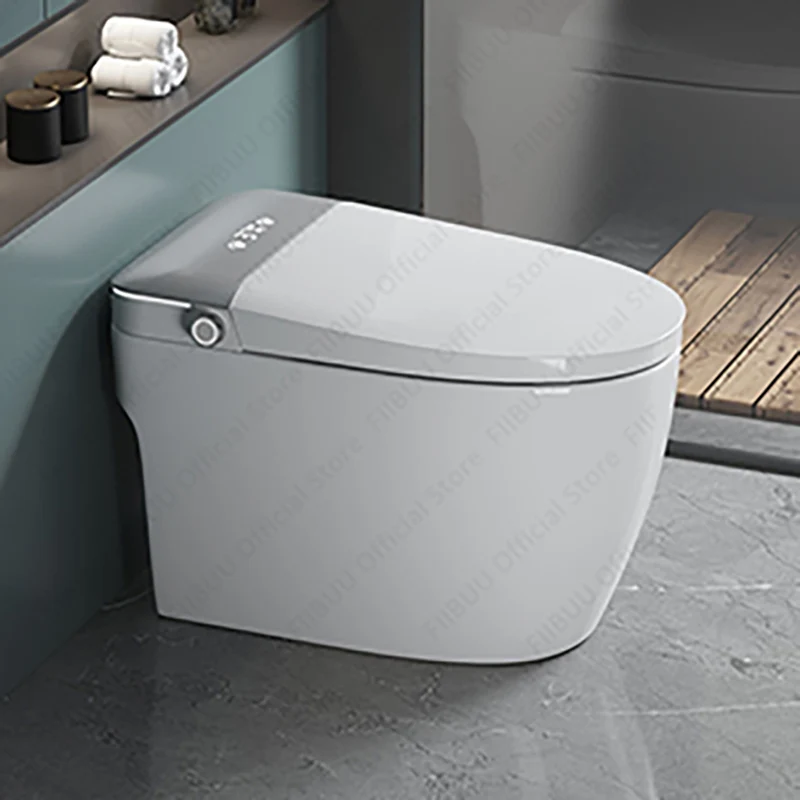 One Piece Smart Toilet Bidet Built-in Water Tank Elongated Toilet Warm Water Heated Seat Remote Control Night Light Auto Flush
