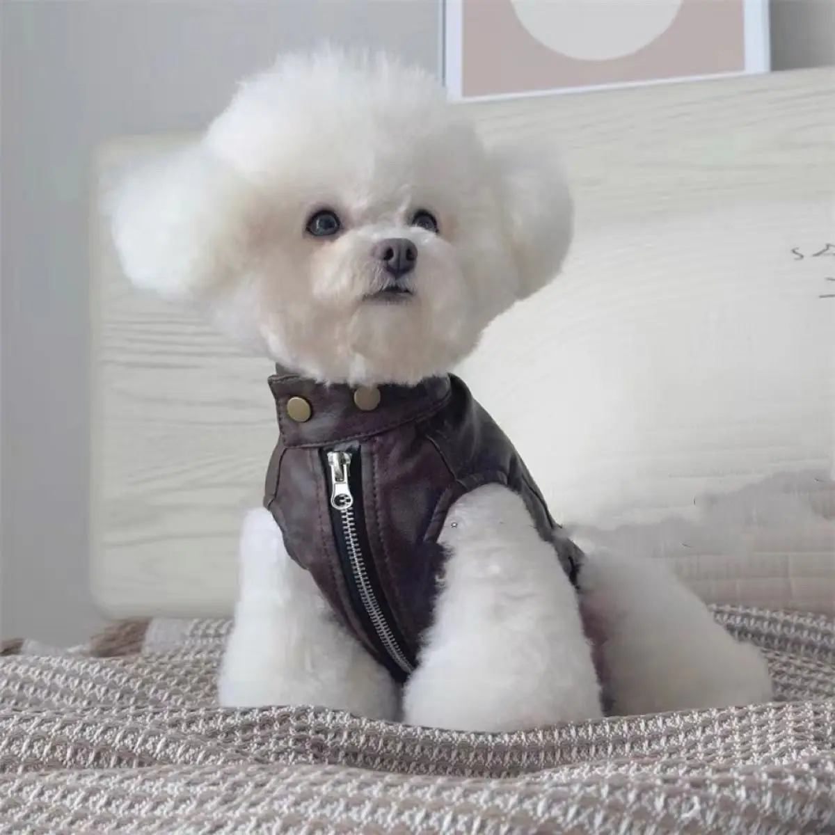 

Pet Dogs Cats Jacket Coat Leather For Teddy Schnauzer Dog Warm Coat Jacket Faux Leather Fashion Pet Puppy Clothing Apparel