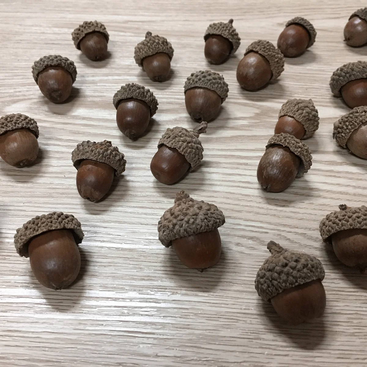 50PCS Natural Acorn Shell Decor Set Durable Eco Friendly for Christmas Autumn Crafts Wedding Party Hangings