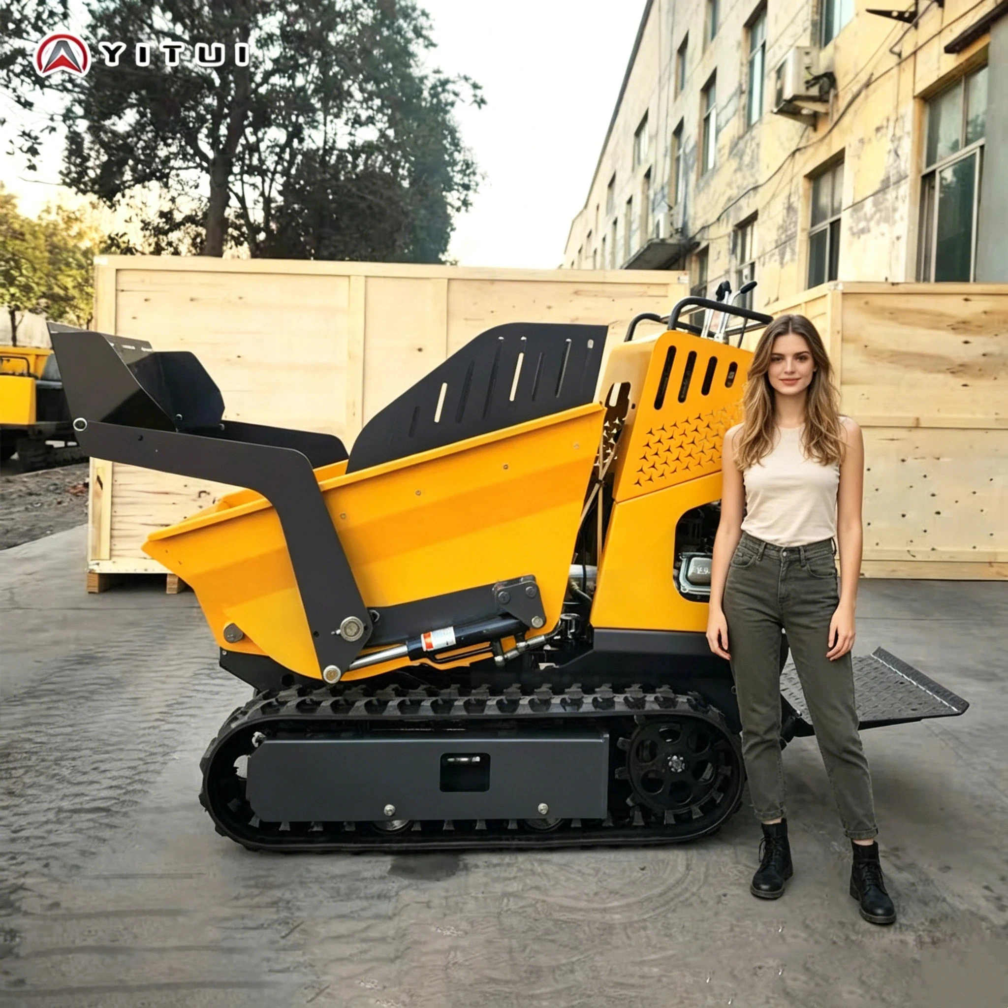 Customized Mini Crawler Dumper Portable Small Transport Vehicle Hydraulic Lifting Dump Truck For Farm Garden