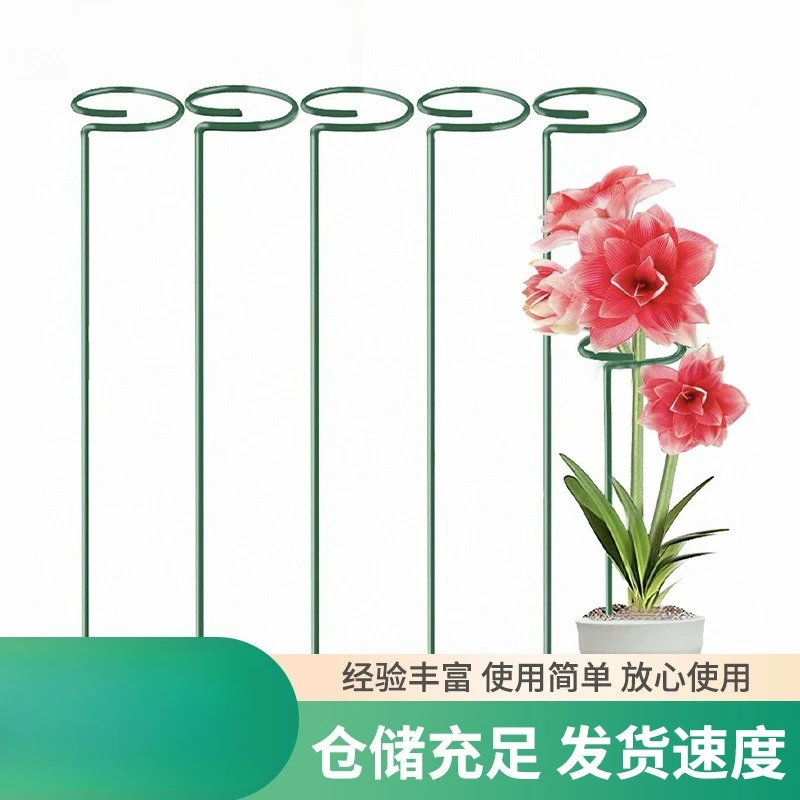 Support Frame Pergola Gardening Flowers Support Fixed Rod Garden Potted Plants Anti-lodging Flowers Support Rod Fast Delivery