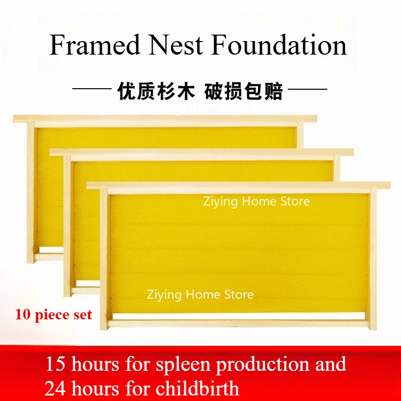 

Finished Nest Frame Foundation Integrated China Italy Bee Nest Foundation Beekeeping Tools Beehive Honey Bottle