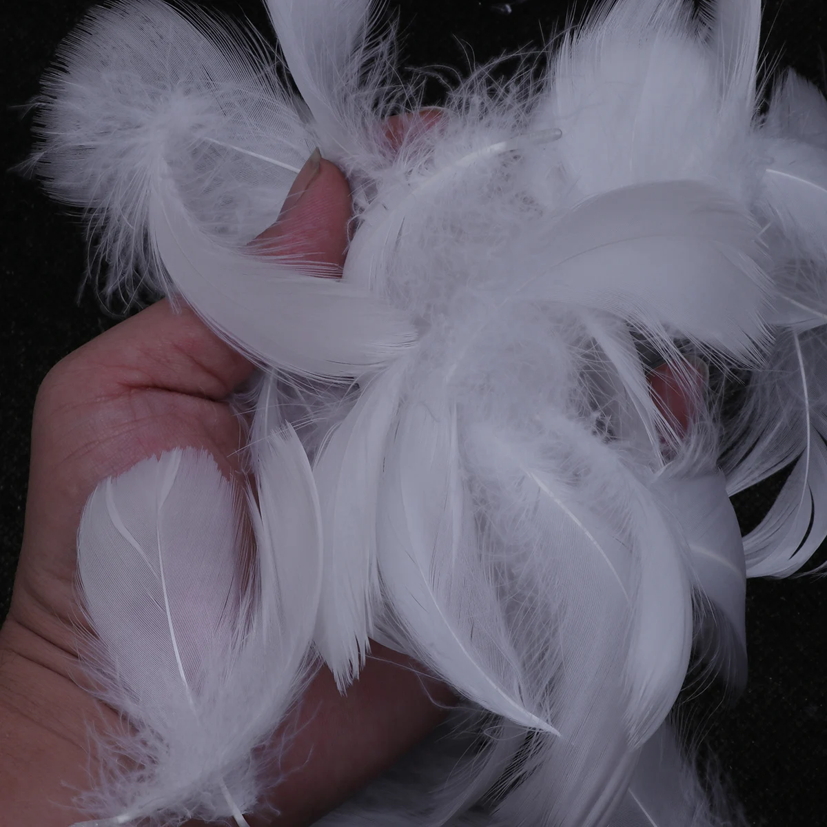

50Pcs White For Craft Decorations Party Supplies Wedding Home Gifts
