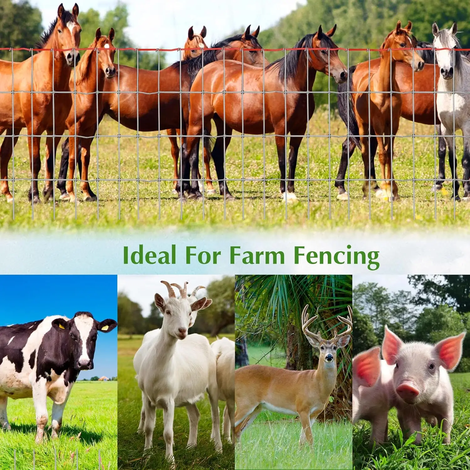 سياج حصان عالي التحمل مقاس 4 × 50 قدم، شبكة مقاس 2 × 4 بوصة، سلك مقاوم للصدأ للماشية والحديقة
