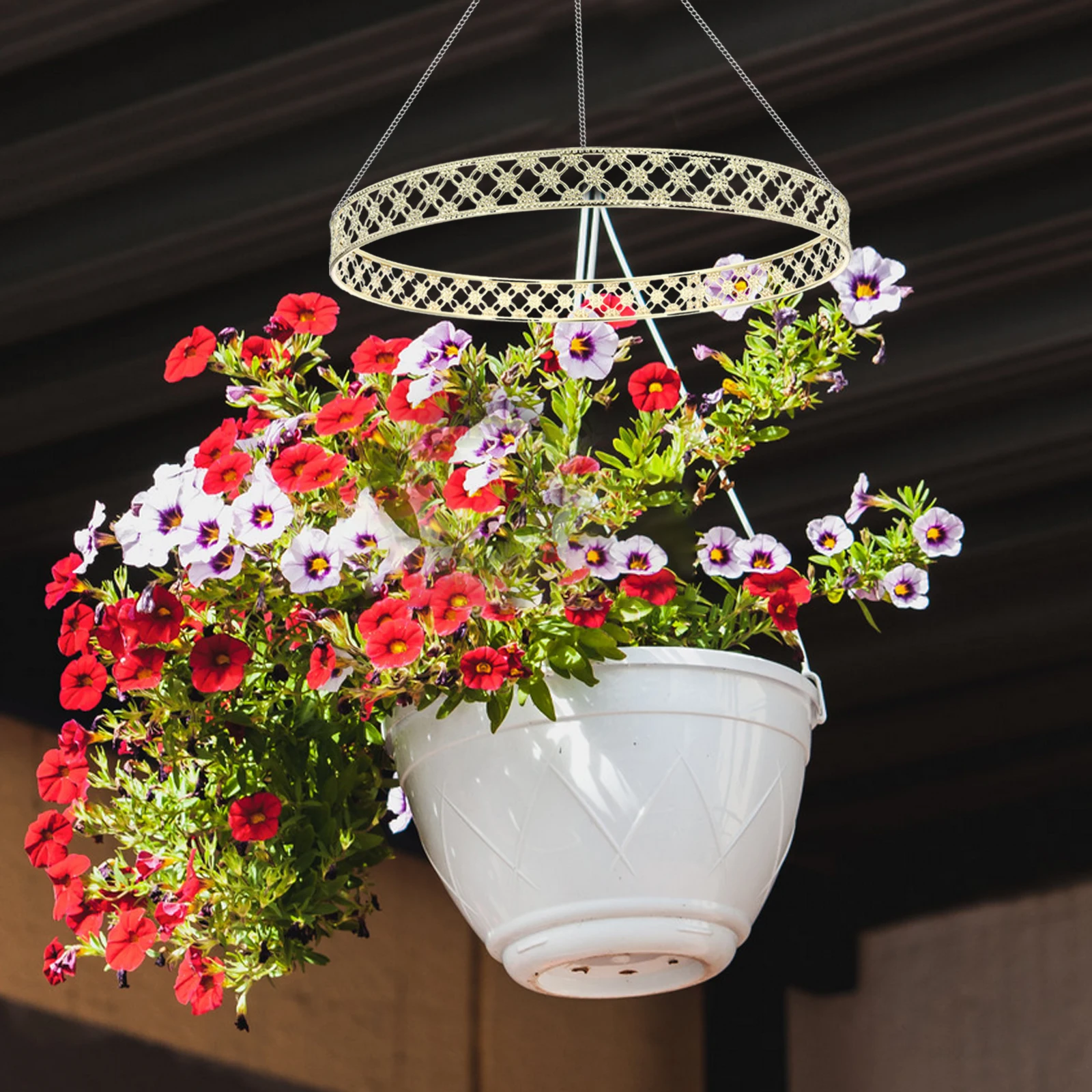

25Cm Multifunctional Metal Hanging Ring For Air Plants Air Plant Hanger Replacement Diy Indoor Outdoor Decorative Circle