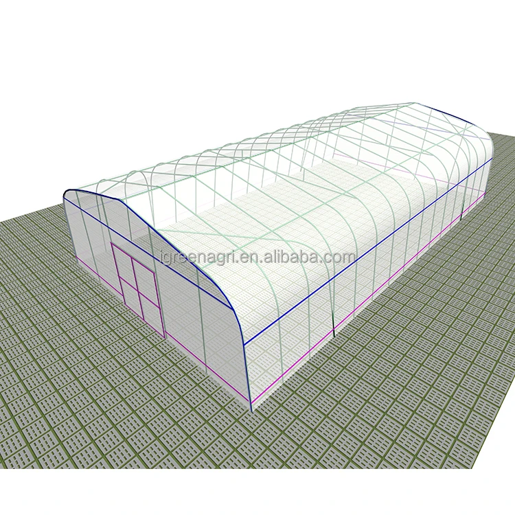 Small Agricultural PE Hoop Tunnel Greenhouse Galvanized Steel Vegetable Flower Growing Serre Agricole Invernadero