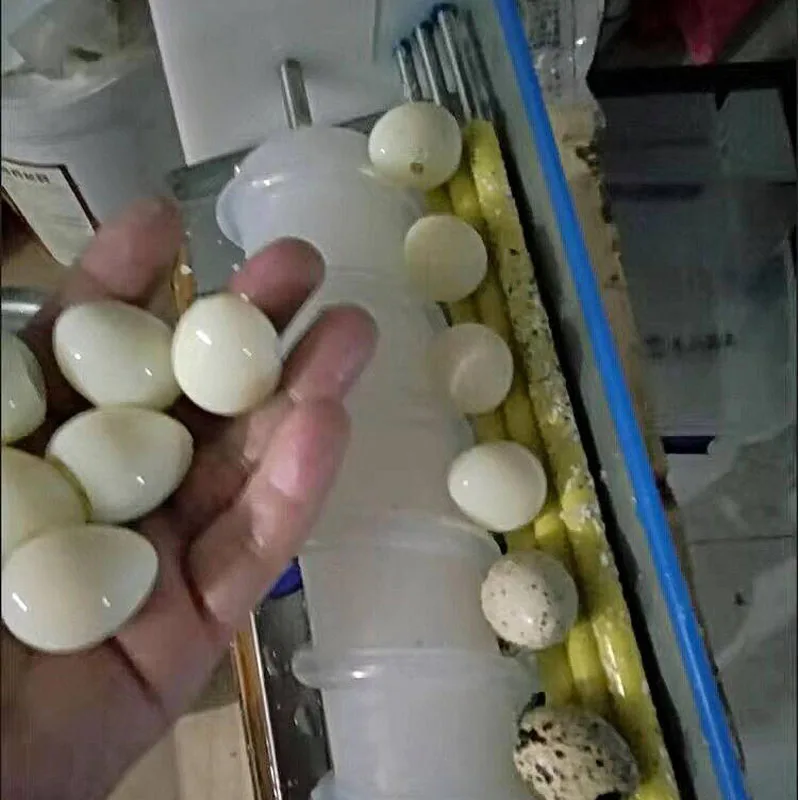 

Машина для очистки мягких перепелиных яиц Машина для очистки вареных яиц