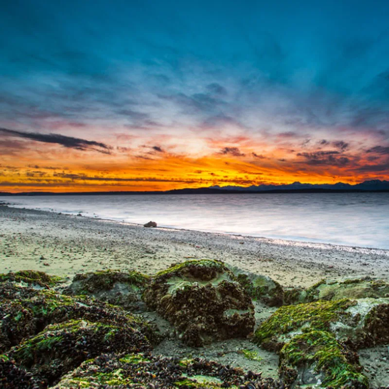 

COSMICRC Destroyer 2812 V3 900KV / 1115KV Brushless Motor 4-6S 7-9inch Propeller for RC FPV Drone