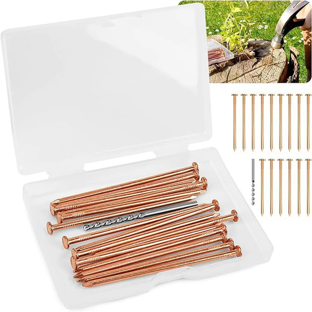 

Tree Killer Nails Kit 4inches Copper Nails For Killing Trees Stump Root Stump Removal Spikes Hardware Trees Tool Parts