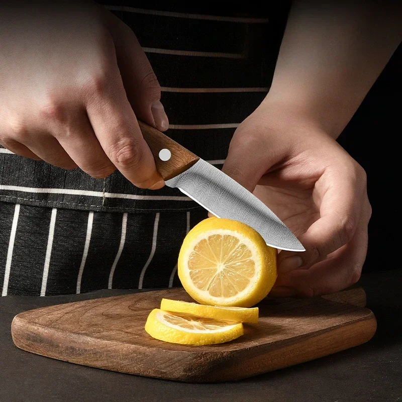 Outdoor fruit knife with holster knife, portable stainless steel knife, home kitchen fruits and vegetables, cutting knife