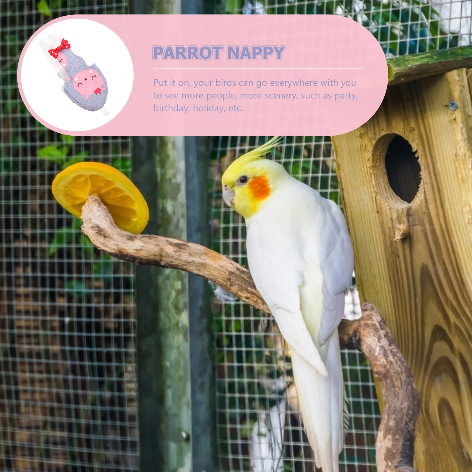 

Parrot Diaper Reusable Bird Flight Suit Lightweight Washable Pet Bird Clothes For Parrots Outdoor Wear Diapers Decorative