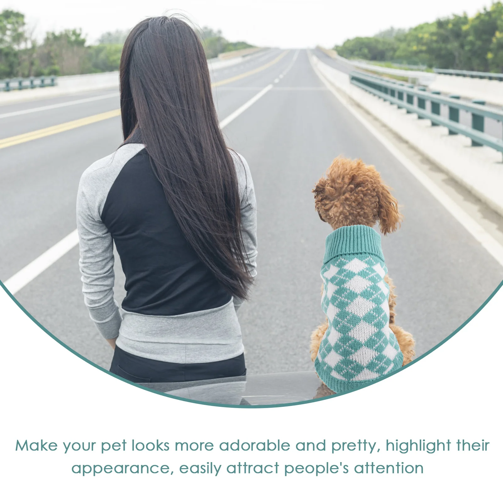 

Lovely Dog Sweater for Small to Medium Dogs Winter Pet Clothing Adorable Design Warm Knitwear Cute Puppy Costume Comfortable Fit