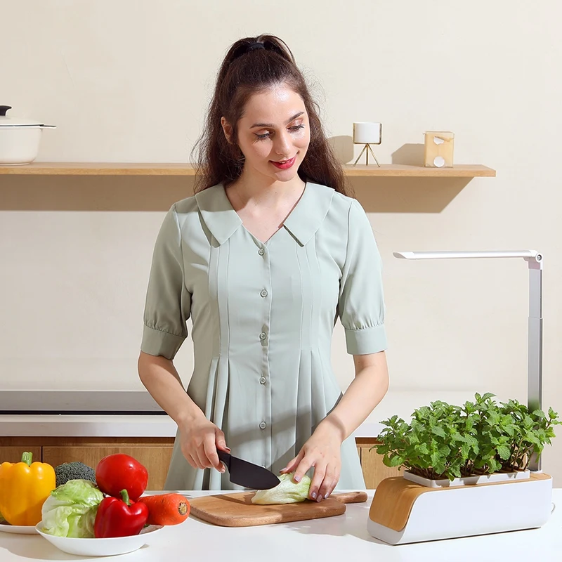 Bandeja de cultivo hidropónico para granja familiar, maceta de interior, luz LED de cultivo de hierbas, temporizador automático, maceta de jardín inteligente