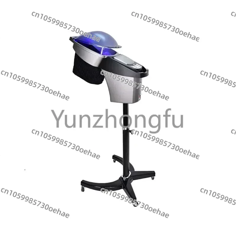 

Big Micromist Professional Ultrasonic Micro Mist Ozone Hair Salon Steamer with Stand&Hair SPA Standing O3 Hair Steamer