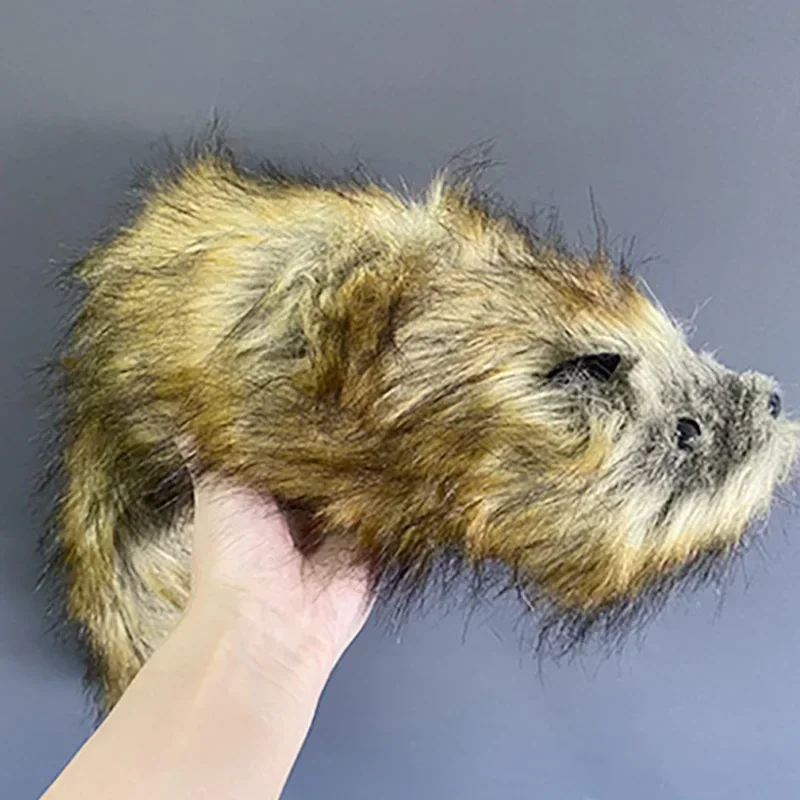 

Jumbo Rocky Raccoon Robbie Stage Magic Tricks Spring Animal Raccoon Appear Illusion Magia Magie Magicians Prop Gimmick Accessory