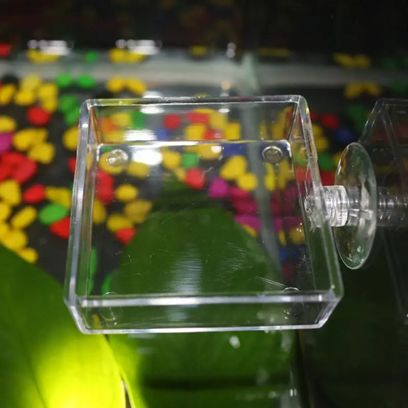 Floating Bottom Feeder With Suction Cup Acrylic High Transparent Aquarium Shrimp Food Feeding Fish Shrimp Fish Tank