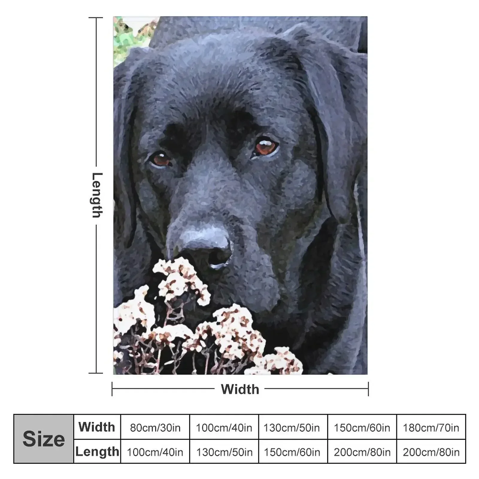 New Take Time - Black Labrador Throw Blanket Extra Large Throw Camping Blankets