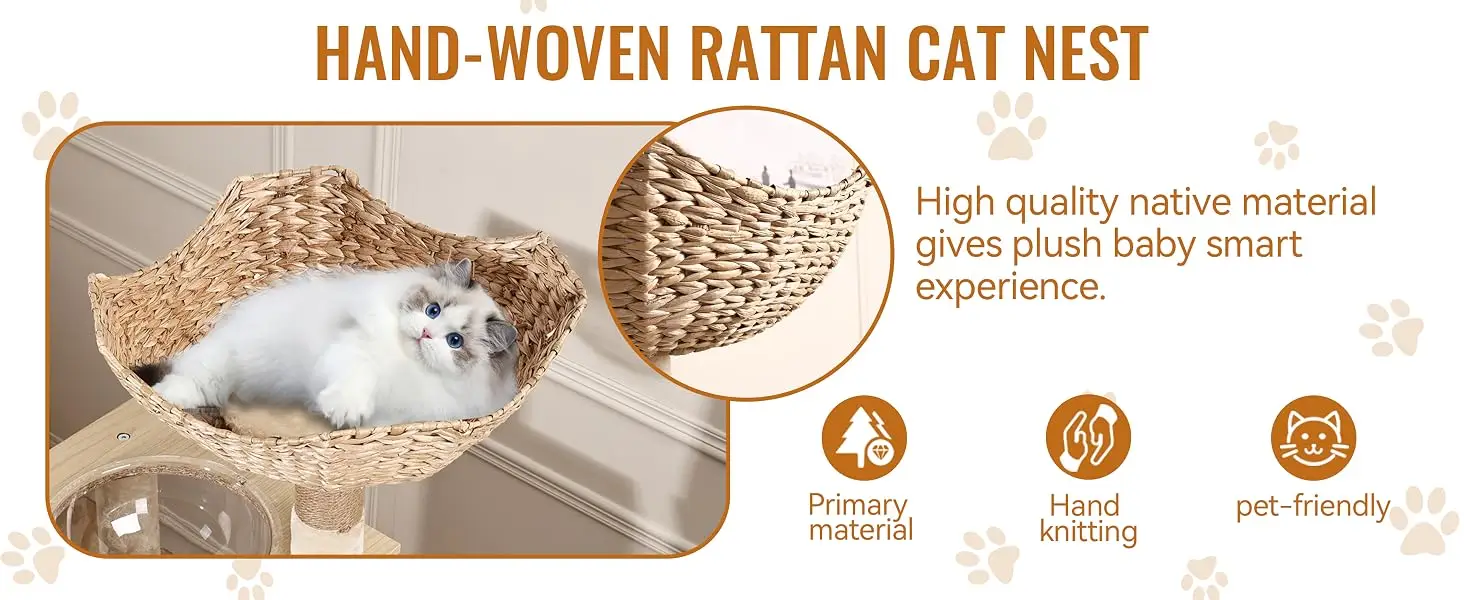 Litter Box Enclosure