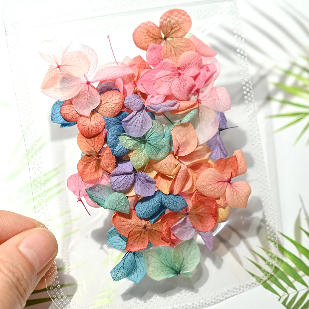 1Bag Colorful Dry Petal Nail Art Sticker Lovely Natural Nail Decoration Flowers  Dry Flowers for Manicure DIY Nail Decals 50PCS